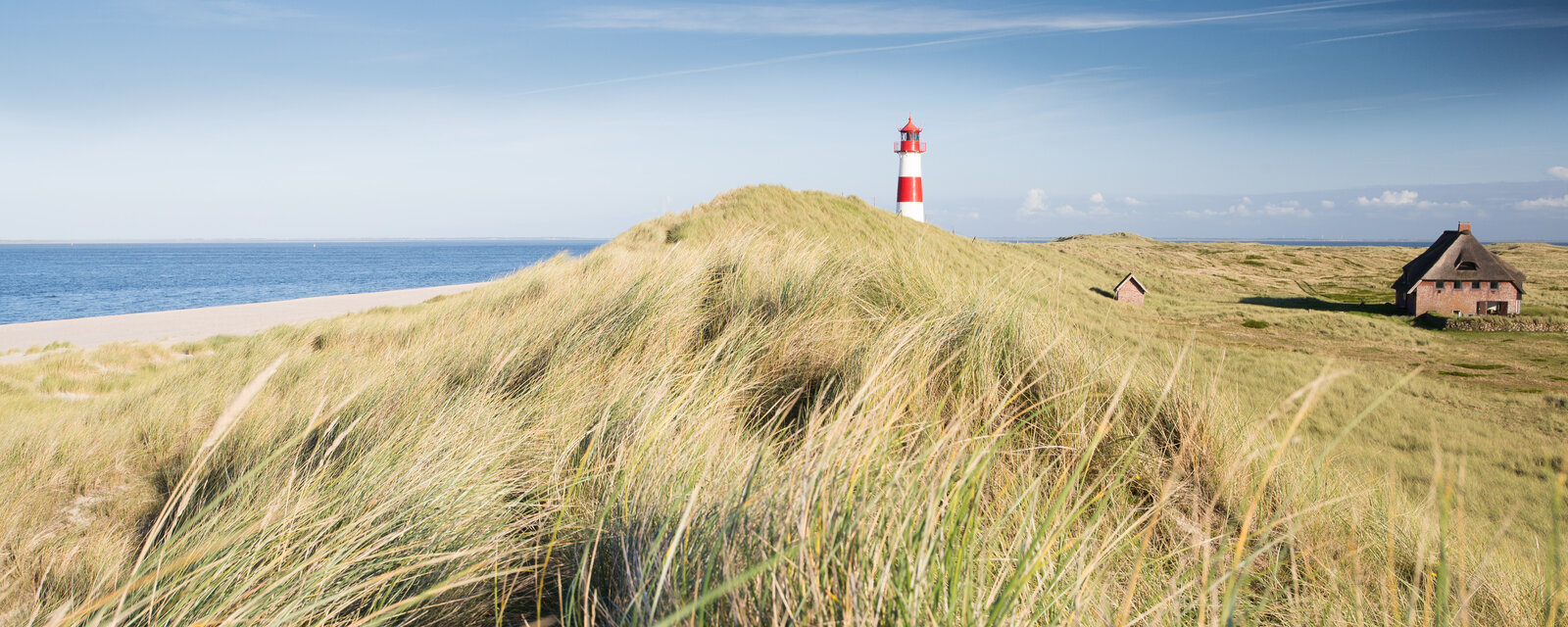Das Foto zeigt den Sylter Leuchtturm am Ellenbogen im Hintergrund. Im Vordergrund ist eine Dünenlandschaft zu sehen, auf der ein Reetdachhaus steht. Links im Bild ist in einem kleinen Ausschnitt die Nordsee und ein Teil des Strandes zu erkennen.