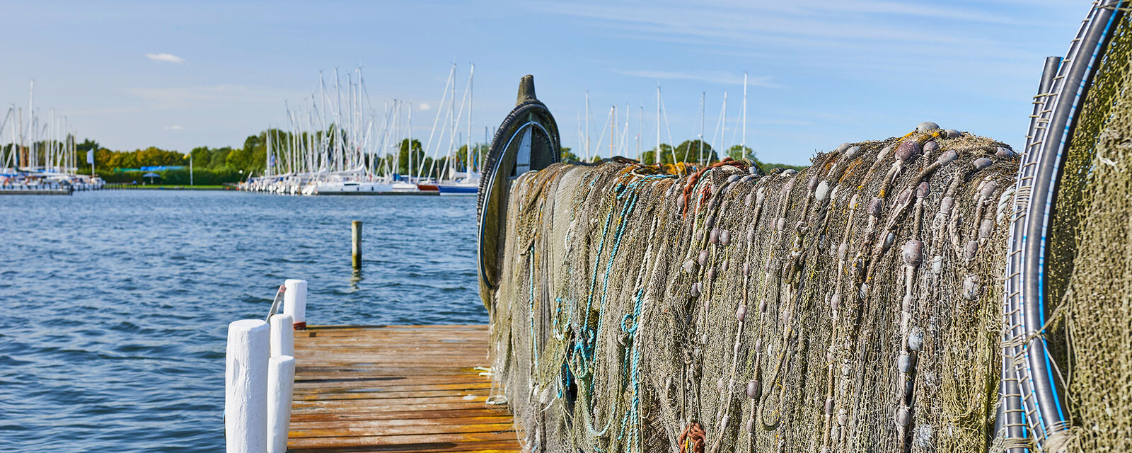 Das Bild zeigt einen schmalen Holzsteg an einem Hafen oder einer Marina. Rechts h&auml;ngen gro&szlig;e, gebrauchte Fischernetze mit Schwimmern und Seilen &uuml;ber einer Metallkonstruktion. Links erstreckt sich ruhiges blaues Wasser. Im Hintergrund sind zahlreiche Segelboote mit hohen Masten zu sehen, dahinter eine gr&uuml;ne Uferlandschaft. Der Himmel ist klar und hellblau mit feinen Wolkenstreifen. Die Szene wirkt ruhig, maritim und sonnig.