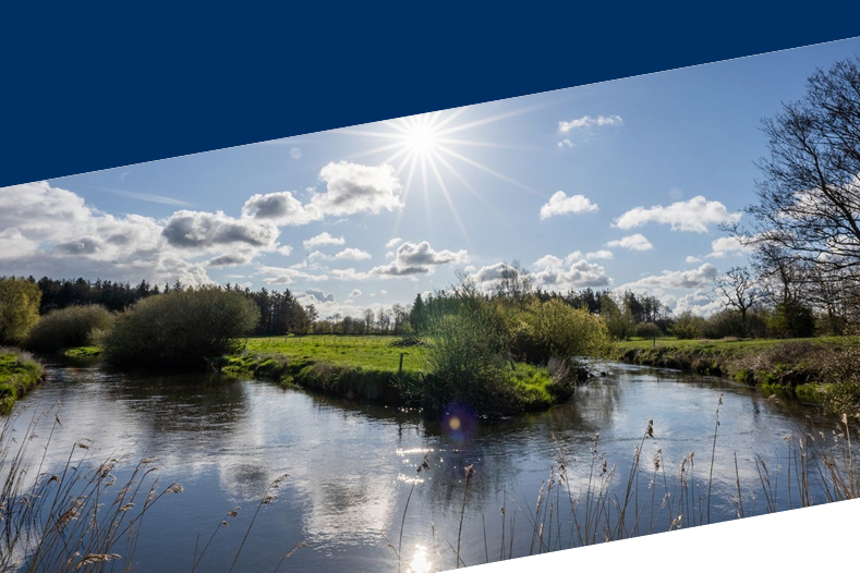 Sonnendurchflutetes Bild einer Seenlandschaft mit Schäfchenwolken vor blauem Himmel