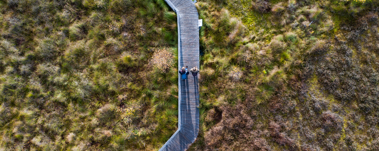 Drohnenaufnahme vom Dosenmoor mit Plankenweg, auf dem zwei Menschen gehen