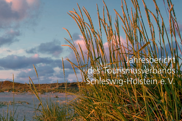 Titelbild TVSH-Jahresbericht 2018