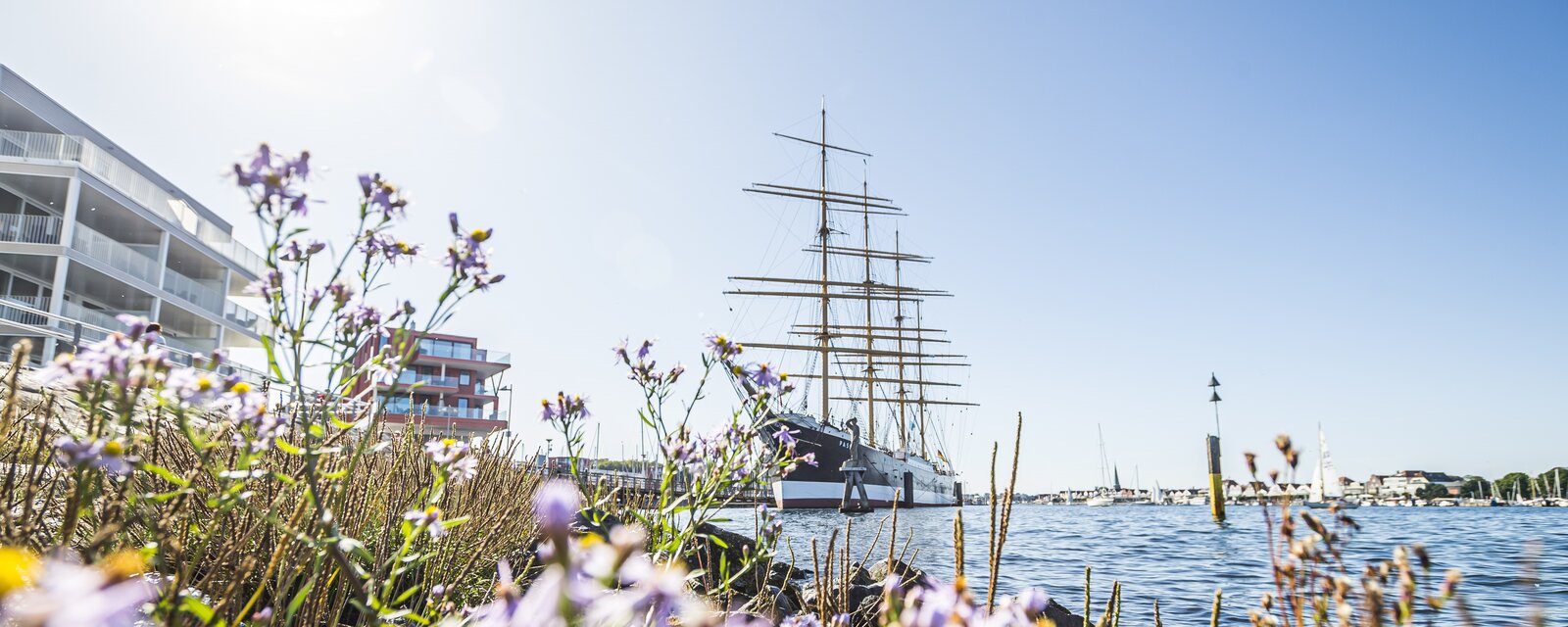 Das Bild zeigt eine malerische Hafenszene an einem sonnigen Tag. Im Vordergrund wachsen wilde lila Blumen und Gr&auml;ser, unscharf aufgenommen, was dem Bild Tiefe verleiht. Dahinter liegt ruhig das blaue Wasser des Hafens, an dem ein gro&szlig;es historisches Segelschiff mit mehreren Masten vert&auml;ut ist. Das Schiff steht imposant im Zentrum des Bildes. Links im Hintergrund sind moderne Geb&auml;ude mit Balkonen zu sehen, rechts am Horizont weitere Boote und Yachten im Hafen. Der Himmel ist strahlend blau, die Sonne scheint hell von oben links ins Bild.