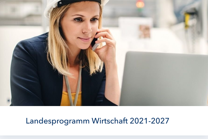 Ein  Screenshot von der Website der IBSH zum Thema Landesprogramm Wirtschaft 2021-2027