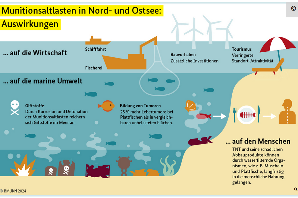   Munitinsaltlasten in Nord- und Ostsee: Auswirkungen  ... auf die Wirtschaft: Schifffahrt, Fischerei, zus&auml;tzliche Investitionen bei Bauvorhaben, verringerte Standort-Attraktivit&auml;t beim Tourismus  ... auf die marine Umwelt:      Giftstoffe: Durch Korrision und Detonation der Munitionsaltlasten reichern sich Giftstoffe im Meer an.     Bildung von Tumoren: 25 Prozent mehr Lebertumore bei Plattfischen als in vergleichbaren unbelasteten Fl&auml;chen.  ... auf den Menschen:  TNT und seine sch&auml;dlichen Abbauprodukte k&ouml;nnen durch wasserfilternde Organismen, wie zum Beispiel Muscheln und Plattfische, langfristig in die menschliche Nahrung gelangen.