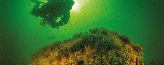 Das Bild zeigt eine Unterwasseraufnahme, auf der ein Taucher in kompletter Ausr&uuml;stung &uuml;ber einem gro&szlig;en, mit Algen, Muscheln und Bewuchs bedeckten Objekt schwebt. Das Wasser ist gr&uuml;nlich getr&uuml;bt, und Sonnenlicht dringt diffus von oben ein. Das Objekt auf dem Meeresgrund wirkt alt und k&ouml;nnte ein Teil eines Wracks oder ein historischer Fund sein. Die Szene vermittelt eine geheimnisvolle, fast mystische Atmosph&auml;re unter Wasser.