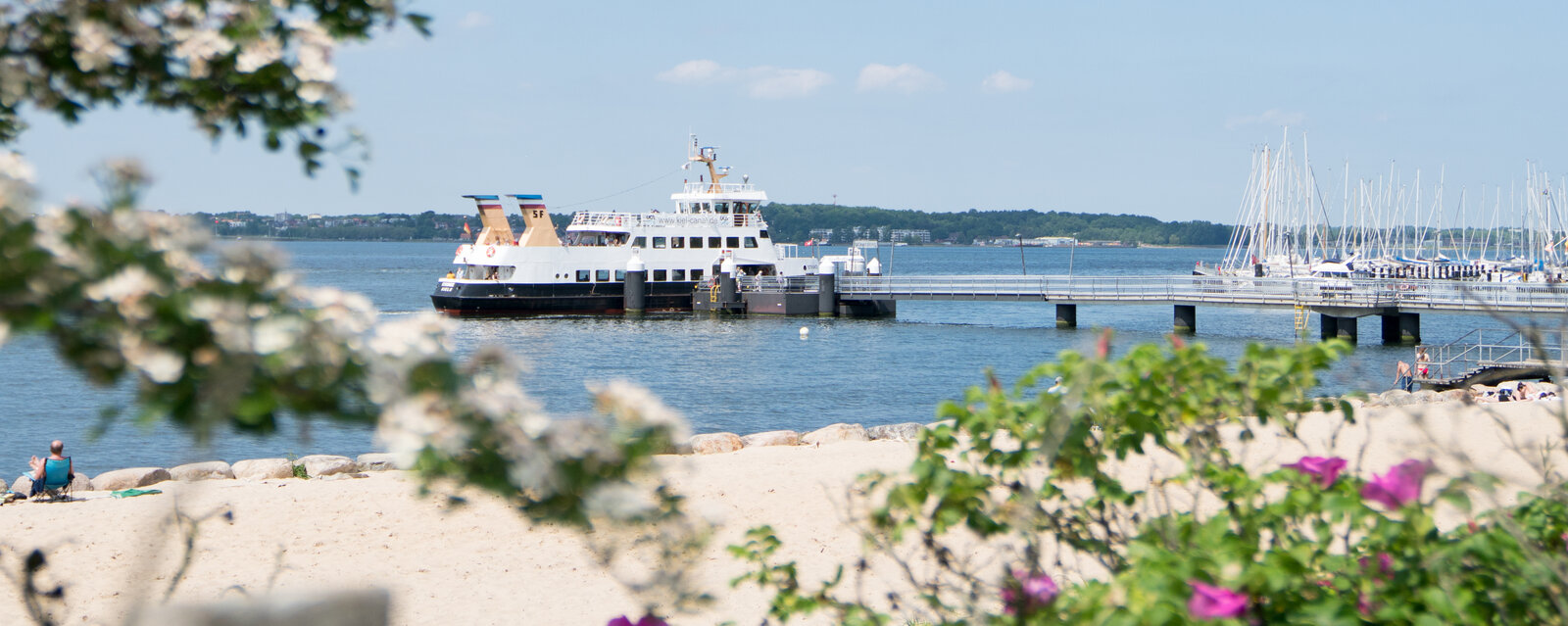 Ein sonniger Strandtag an der Ostsee: Im Vordergrund blühende Büsche mit weißen und violetten Blüten, dahinter ein Sandstrand mit vereinzelten Personen. Im Hintergrund liegt ein Fährschiff an einem Steg im ruhigen blauen Wasser, daneben ein kleiner Hafen mit vielen Segelbooten. Der Himmel ist klar mit wenigen weißen Wolken.