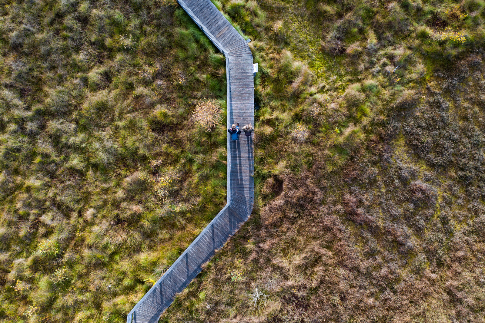 Das Bild zeigt eine Luftaufnahme eines Holzstegs, der sich in mehreren Winkeln durch eine weite, naturbelassene Moor- oder Wiesenlandschaft schlängelt. Der Steg verläuft von unten nach oben durch das Bild und hebt sich deutlich vom umliegenden, unregelmäßig bewachsenen Gelände ab. Zwei Personen gehen nebeneinander auf dem Steg und wirken klein in der weitläufigen Umgebung. Das Gelände ist mit verschiedenen Gras- und Moosarten bedeckt, in verschiedenen Braun- und Grüntönen, was auf Herbst oder Spätsommer hindeutet.