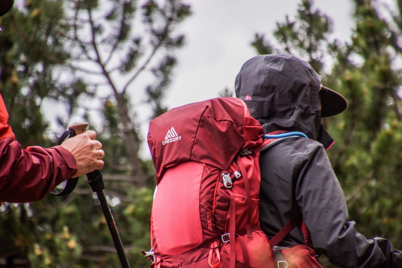 Kind mit Wanderrucksack bei herbstlichem Wetter im Wald. Links im Bild sieht man einen Ausschnitt einer Person, die einen Wanderstock in der Hand h&auml;lt.