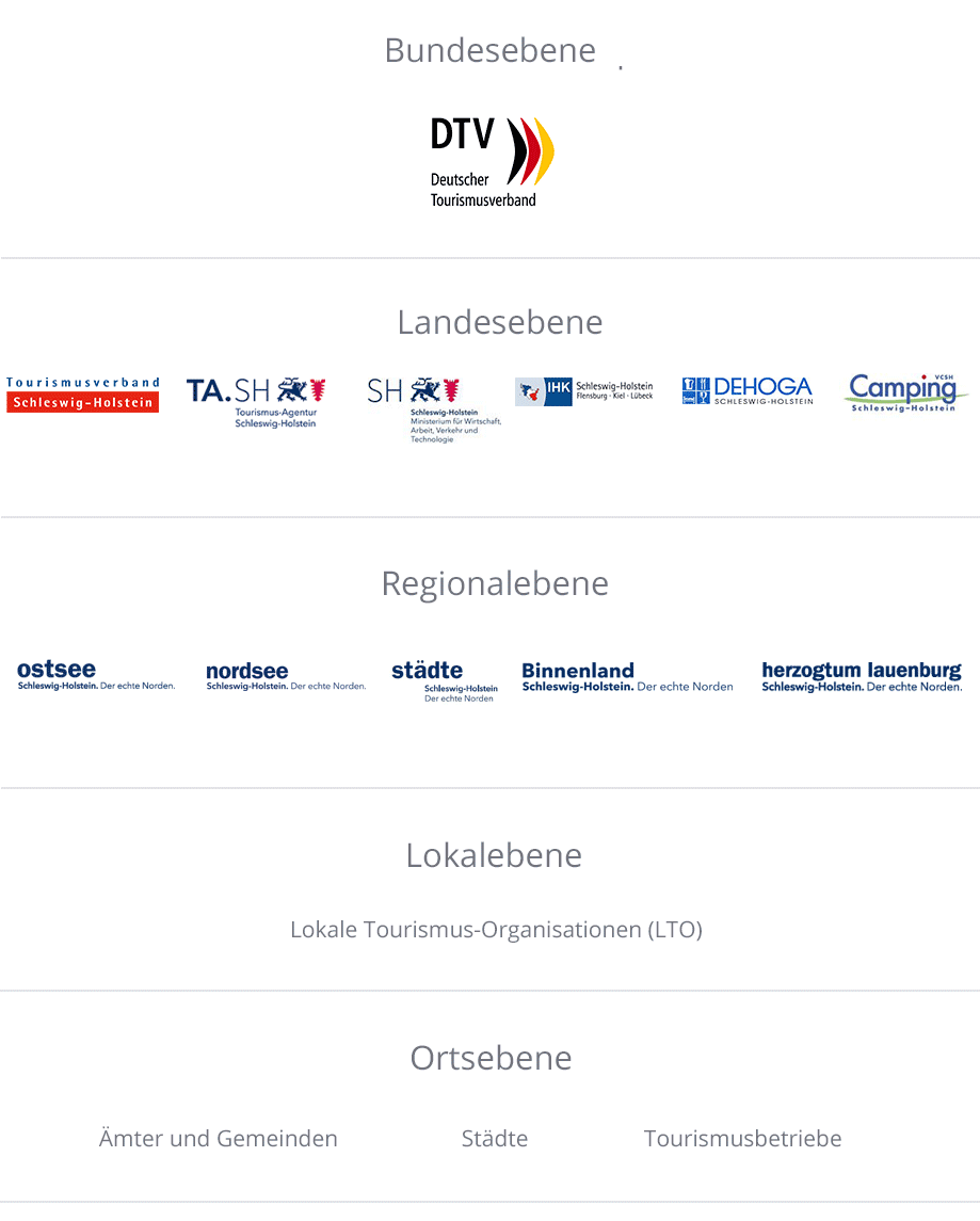 Darstellung der Organisationsstruktur des TVSH